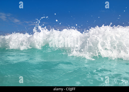 schöne blaue Türkis Welle karibische Meer Wasser Schaum Stockfoto