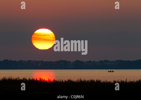 Fischer im Ruderboot am See bei Sonnenuntergang, Western Pomerania, Deutschland Stockfoto