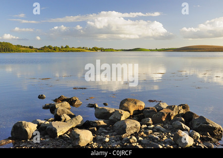 Blick auf nur Island, Strangford Lough, Nordirland.