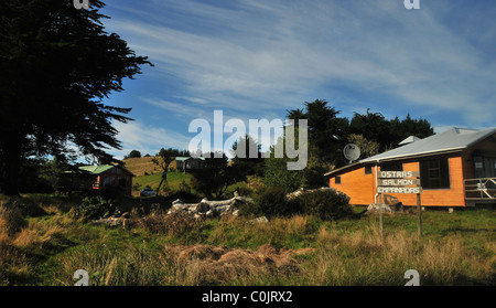 Schöne Aussicht von orange Restaurant Werbung Austern Lachse Torten in rauen Grasbäume Ackerland, Caulin, Chiloé Insel, Chile Stockfoto