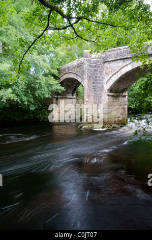 Neue Brücke über den Fluss Dart, Dartmoor Nationalpark. Stockfoto