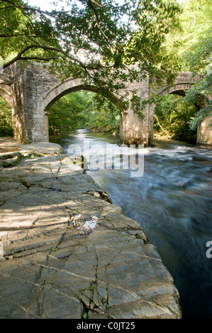 Neue Brücke über den Fluss Dart, Dartmoor Nationalpark. Stockfoto