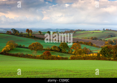 Patchwork-Felder im Lande in der Nähe von Shobrooke, Devon, England, Vereinigtes Königreich, Europa Stockfoto