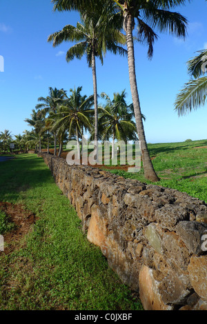 Lava-Felswand Kauai Hawaii Stockfoto