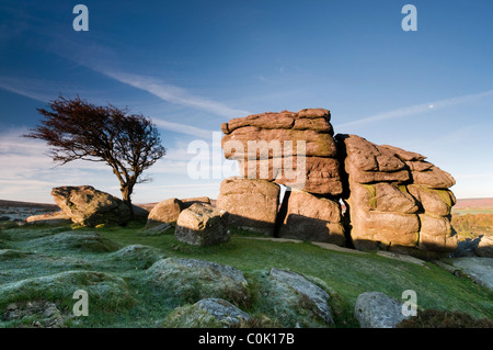 Felsen und Weißdorn Baum und Blick auf Dawn, Sattel Tor, Dartmoor Stockfoto