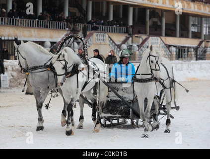 Troika-russische traditionelle Pferd-Team fahren in Moskau Stockfoto