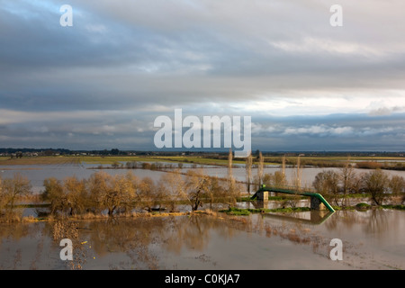 Landschaft mit überschwemmten Feldern in Santárem - Portugal Stockfoto