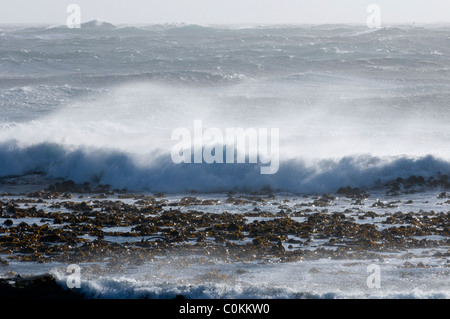 Wellen am Strand, Western Cape, Südafrika Stockfoto