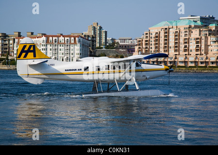 Ein Turbo-Triebwerken Beaver Schwimmer Flugzeug Rollen im Victoria harbour Stockfoto