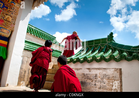 Junge tibetische Novizen in Labrang Kloster ausgeführt Stockfoto