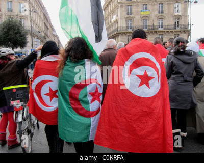 Paris, Frankreich, Menschenmassen, Dahinter, Libyen Demonstration, Solidarität der libyschen Revolution "arabischer Frühling Proteste" verschiedene Länderflaggen, Algerien, Tunesien, arabischer Frühling, Politik, Muslime, algerisches paris Stockfoto