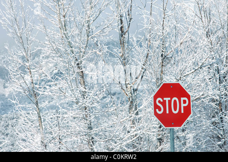 Stop-Schild vor Schnee und Eis bedeckt Bäume während des Wintersturms. Stockfoto