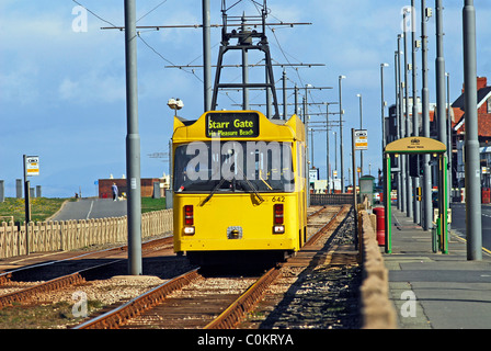 Alte Single Deck Blackpool Tram, die an der Küste Stockfoto