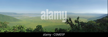 Blick ins Ngorongoro Crater bei Ankunft von Arusha am Krater Aussichtspunkt 2216 m Hinweis üppige Vegetation in der Regenzeit Stockfoto