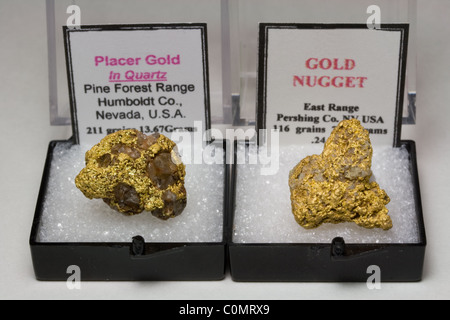 Natürlichen Gold-Nuggets - Nevada, USA Stockfoto