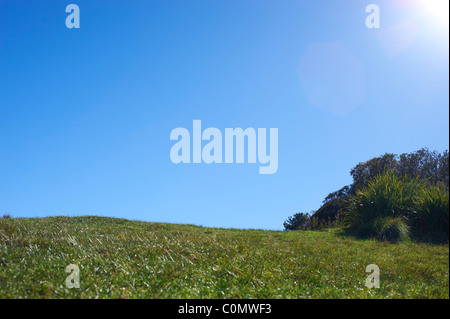 Grünen grasbewachsenen Hügel und blauer Himmel Stockfoto