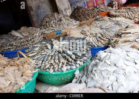 Getrockneter Fisch zum Verkauf auf Markt in Fort Cochin, Kerala, Indien Stockfoto