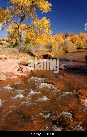 Jemez River, New Mexico Stockfoto