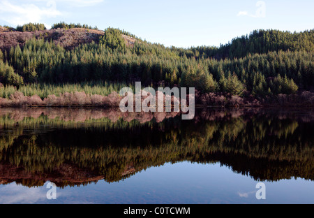 Reflexionen im eisigen Loch Lundie in Strathellen in der Nähe von Plockton Wester Ross Schottland UK Stockfoto