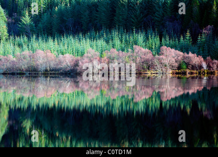 Reflexionen im eisigen Loch Lundie in Strathellen in der Nähe von Plockton Wester Ross Schottland UK Stockfoto