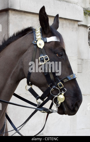 Pferd-Wachposten am Horseguards Parade ground Stockfoto