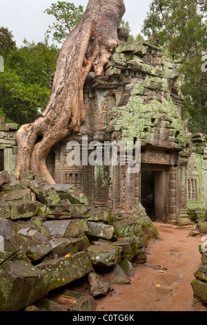 Bei archäologischen Ruinen Website, Ta Prohm Tempel, Angkor, UNESCO World Heritage Site, Kambodscha, Indochina, Südostasien, Asien Stockfoto