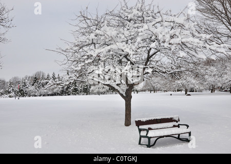 Bäumen und Bänken bedeckt mit Schnee in Albany, Upstate New York. Stockfoto