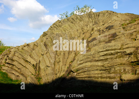 Geotop Palmwedel, fächerförmige Felsvorsprung Basalt am Mt. Hirtstein, Erzgebirge Erzgebirge, Sachsen, Deutschland Stockfoto