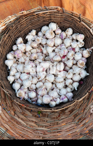 Stapel von Knoblauch Zwiebeln in einer gewebten Korb auf einem indischen Markt. Andhra Pradesh, Indien Stockfoto