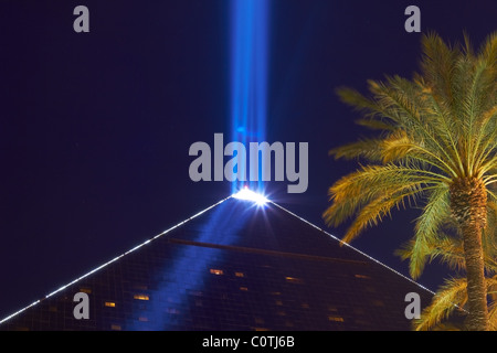 Las Vegas - Luxor Hotelcasino - Pyramide Ray und Palmen Nachtszene Stockfoto