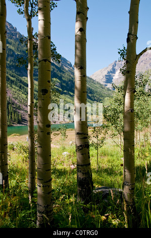 South & Norden Maroon Berggipfel, Erholungsgebiet, Aspen, Maroon Bells landschaftlich reizvollen Gegend, White River National Forest, Colorado, USA Stockfoto