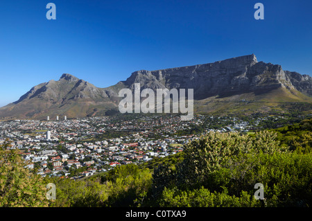 Kapstadt und Tafelberg vom Signal Hill angesehen. Western Cape, Südafrika. Stockfoto