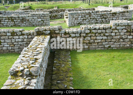 NORTHUMBRIA; CHESTERS RÖMISCHEN FORT NR. CHOLLERFORD; ÜBERRESTE DER KASERNE Stockfoto