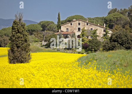 Masia (typisch katalanischen Bauernhaus) mit Springbreak Blumen. Stockfoto