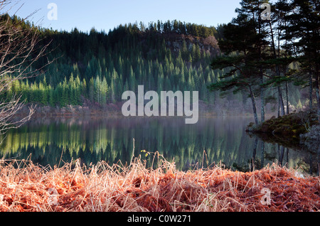 Reflexionen im eisigen Loch Lundie in Strathellen in der Nähe von Plockton Wester Ross Schottland UK Stockfoto