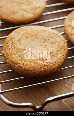 Cookies Kekse auf ein Kuchengitter Stockfoto