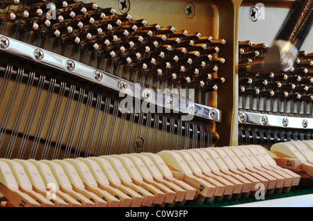 Tuning am Klavier durch die Anpassung der Heringe Stockfoto