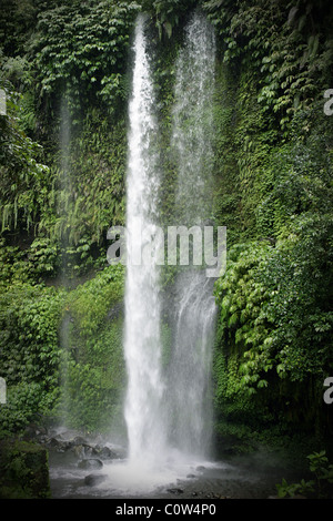 Sendang Gile und Tiu Kelep Wasserfall Fuße des Rinjani Mountain, Lombok, Indonesien Stockfoto