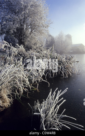 Die Hoar Frost bedeckt Bäume am Ufer der Fischteich in Barby, Warwickshire, UK. Stockfoto