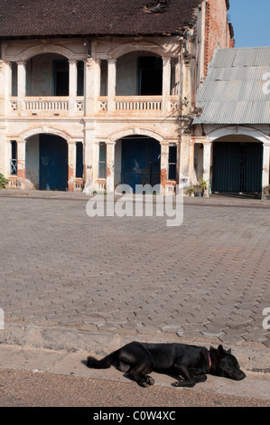Hunde schlafen und französischen Kolonialhaus auf dem Hauptplatz, Savannakhet, Laos Stockfoto