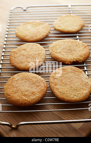 Cookies Kekse auf ein Kuchengitter Stockfoto