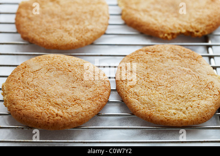 Cookies Kekse auf ein Kuchengitter Stockfoto