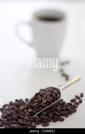 Schaufel Kaffeebohnen mit Kaffeetasse im Hintergrund Stockfoto