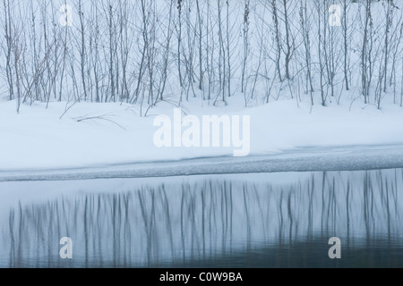 Schneebedeckte Wälder entlang der Merced River im Yosemite National Park, Kalifornien. Stockfoto