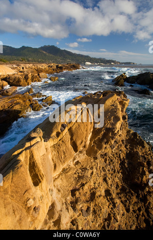 Westrand des Point Lobos State Park, CA, USA. Stockfoto