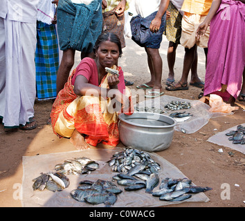 Keralite Frauen warten, um ihre Fische am Straßenrand Fischmarkt in den Backwaters, Kochi, Kerala, Indien zu verkaufen Stockfoto