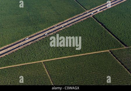 Luftaufnahme über dem interstate i-5 durch Ackerland Central Valley in Kalifornien Stockfoto