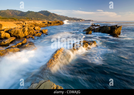 Point Lobos State Park, Kalifornien. Stockfoto