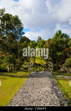 Fuß Weg zwischen Parkplatz und Aussichtspunkt am Alexandra fällt, Black River Gorges Nationalpark, Black River, Mauritius. Stockfoto