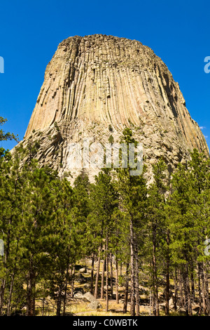 Devils Tower Nationalmonument. Devils Tower, Wy. Stockfoto